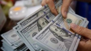 Long-term FPIs have utilised 25.57% of their quota of Rs 1.15 lakh crore.