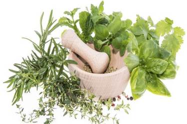 Similarly, Dr Pradeep Visen who is from Toronto, Canada, shared results of clinical validation of medicinal herbs in the management of Type-2 diabetes and cardiovascular disease risk factors. (Representative image)