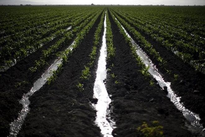 Such policy myopia will have both serious near-term and long-term repercussions; already, a third of the global population facing water scarcity for at least a month every year lives in India and China. (Representative image)