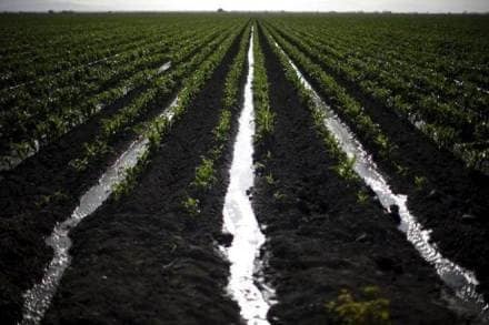 Such policy myopia will have both serious near-term and long-term repercussions; already, a third of the global population facing water scarcity for at least a month every year lives in India and China. (Representative image)