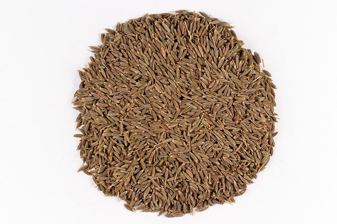 cumin export, cumin import, cumin market, cumin prodyction, turkey, syria cumin export, cumin import, cumin market, cumin prodyction, turkey, syria