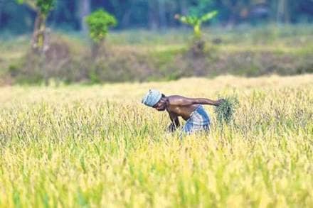 PM-KISAN scheme, farm input cost, household expenses, agriculture ministry, Narendra Modi, higher income status, Uttar Pradesh