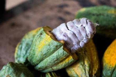 agritech, agri startup, doubling farmers income, farm income, farm growth