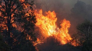 bushfire, australia bushfire