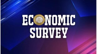 Economic Survey 2020, K Subramanian, Union Budget for FY21, Food Corporation of India, NFSA