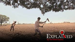 pm kisan scgeme, agriculture sector