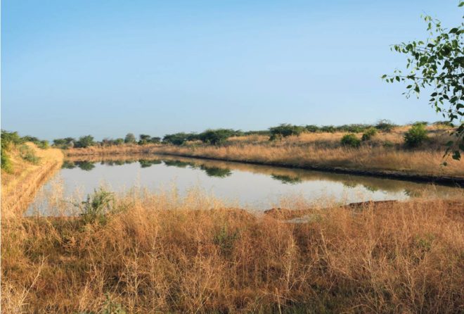 budget 2020, budget 2020 date, budget 2020 date india, budget 2020 expectations, budget 2020 highlights, budget 2020 income tax, budget 2020 live, union budget 2020, union budget, union budget 2020 date, union budget india, union budget 2020-21, Maritime Museum, lothal gujarat, gujarat museum budget 2020, budget 2020 date, budget 2020 date india, budget 2020 expectations, budget 2020 highlights, budget 2020 income tax, budget 2020 live, union budget 2020, union budget, union budget 2020 date, union budget india, union budget 2020-21, Maritime Museum, lothal gujarat, gujarat museum