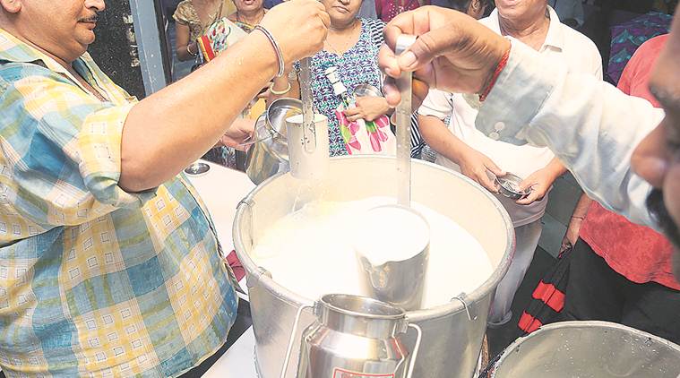 milk, dairy products