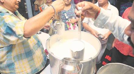 milk, dairy products
