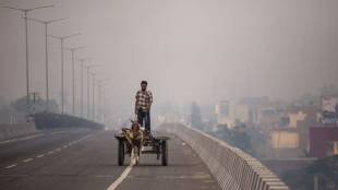 urban india, urbanisation, work bank, world bank report, how urban is india?