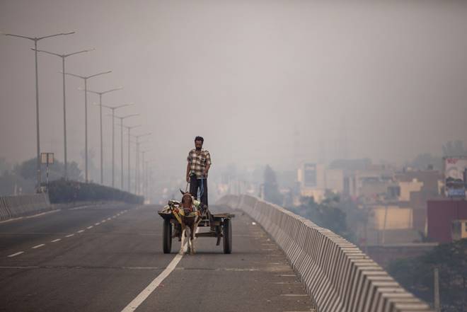 urban india, urbanisation, work bank, world bank report, how urban is india?