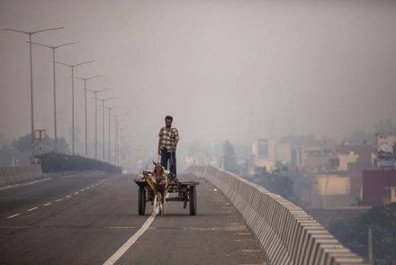 urban india, urbanisation, work bank, world bank report, how urban is india? urban india, urbanisation, work bank, world bank report, how urban is india?