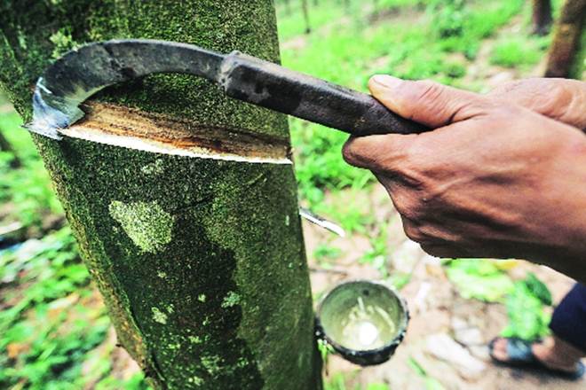 The price of RSS-4 grade at Kottayam, the country's rubber hub, is influenced by domestic factors, besides the global trends.