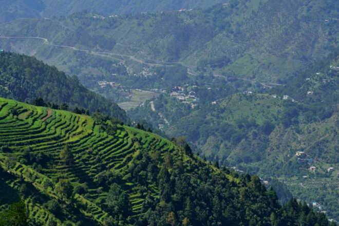 In Nilgiris district in western Tamil Nadu, officials shutdown all tourist centres, including those in the district headquarters town of Udhagamandalam, popularly known as Ooty, and asked visitors staying in hotels and resorts to return to their places within 24 hours. (Representative image/ File image)