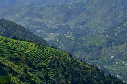 In Nilgiris district in western Tamil Nadu, officials shutdown all tourist centres, including those in the district headquarters town of Udhagamandalam, popularly known as Ooty, and asked visitors staying in hotels and resorts to return to their places within 24 hours. (Representative image/ File image)