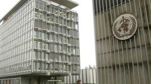 "We do have two staff confirmed with symptoms of COVID-19," spokesman Christian Lindmeier told reporters at a virtual press conference. (Reuters file image)