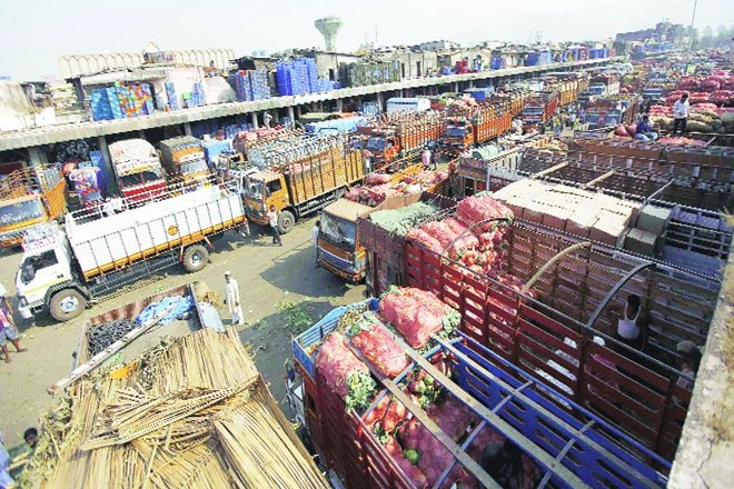 Easing of curbs: Mandi arrivals pick up, but harvesting hit by labour shortage Easing of curbs: Mandi arrivals pick up, but harvesting hit by labour shortage