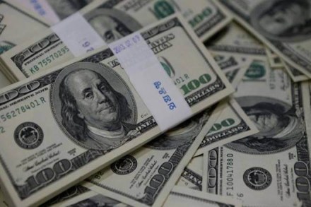 As on March 17, FPIs hold over $24 billion of Indian corporate bonds while general category FPIs hold $20.35 billion of G-secs.