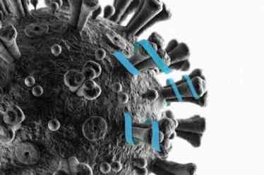 coronavirus, coronavirus outbreak, coronavirus treatment, potential coronavirus treatment, Research, Covid-19, Disease, Medicine, Chemistry, Pandemic, Viruses, Drug development