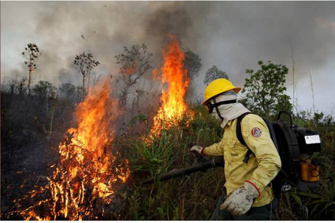 Amazon rainforest may collapse within decades if critical point is reached: Study Amazon rainforest may collapse within decades if critical point is reached: Study