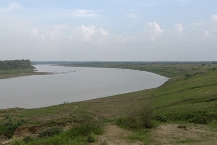 National Chambal sanctuary, home of gharials and Gangetic dolphins, declared eco-sensitive zone