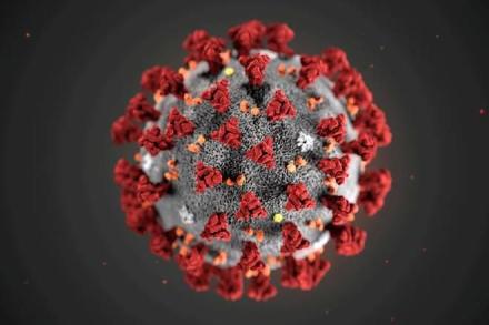Paper-based test to detect coronavirus in wastewater: Study