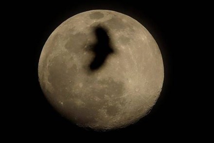 Supermoon, Holi, Supermoon 2020, Supermoon 2020 India, Supermoon 2019, Supermoon today, Supermoon meaning, Supermoon india, Supermoon kya hai, Supermoon Holi, when is Holi, Holi purnima, holi poornima, Holi full moon, holi full moon supermoon