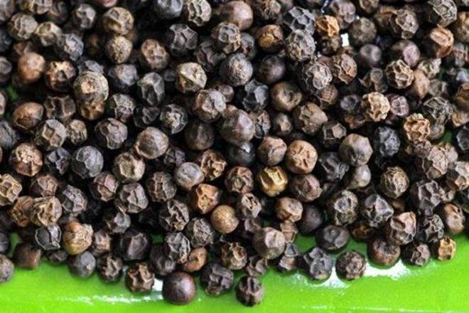 pepper, pepper crop