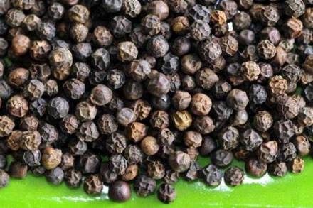 pepper, pepper crop