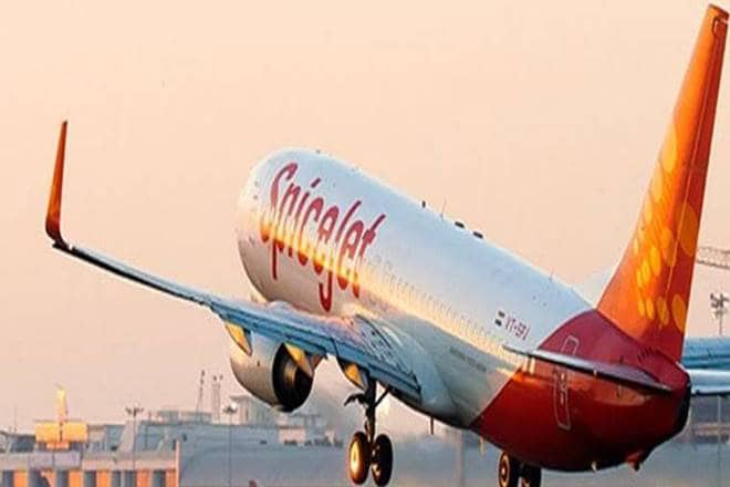 coronavirus update, coronavirus flights, coronavirus flight domestic, spicejet flight, spicejet owner, spicejet status, indigo airlines
