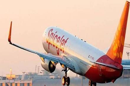 coronavirus update, coronavirus flights, coronavirus flight domestic, spicejet flight, spicejet owner, spicejet status, indigo airlines