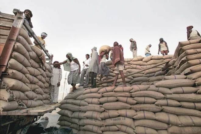 Govt sets record grains production target for crop year 2020-21 ...