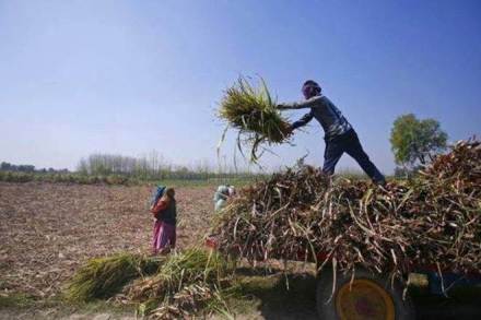 Out of the total amount disbursed under PM-Kisan since the announcement of the package, over 65% was transferred on April 1, the first day of the new fiscal.