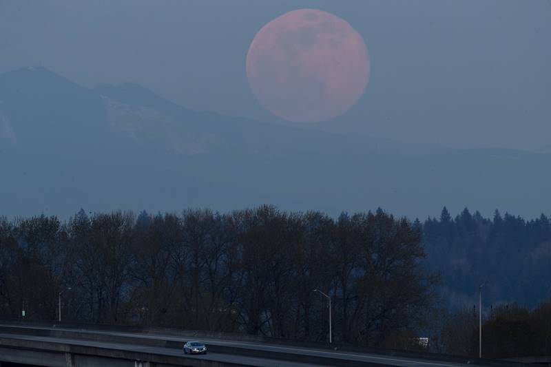 pink super moon, super moon images, super moon place, super moon in India, pink super moon images, super moon photos