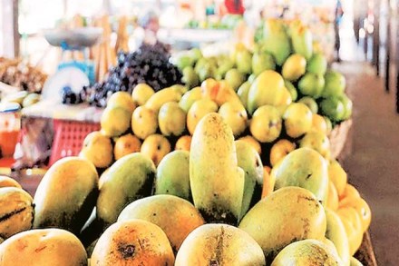 Housing societies can directly place orders for mangoes, the official said. Housing societies can directly place orders for mangoes, the official said.