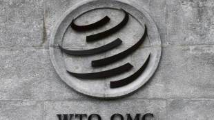 At a time when developing countries with seemingly divergent interests were pursuing their narrow domestic agenda in WTO negotiations, Martin had the unique ability to identify common ground.