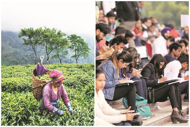 A majority of small- and large-scale businesses already fear the economic impact, leading to a reduction in revenues, loss of trade, investment and supply chains.