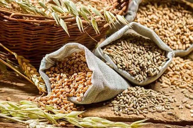 Foodgrain stocks hit all-time high of 73.85 mt in April
