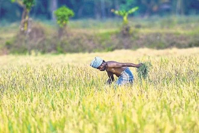 agri reforms, agriculture, narendra tomar, cabinet briefing, atma nirbhar bharat