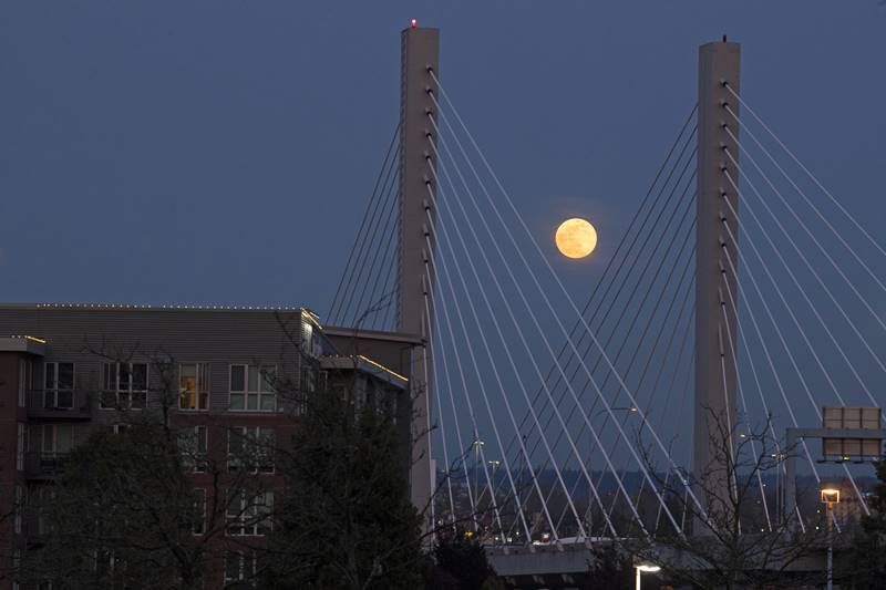 pink super moon, super moon images, super moon place, super moon in India, pink super moon images, super moon photos