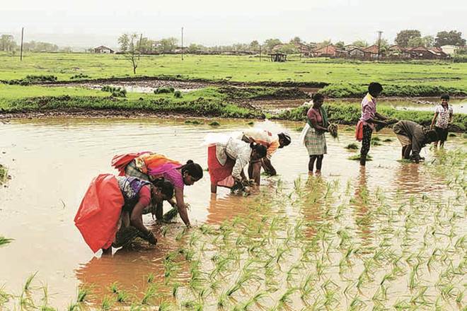 Equity Strategy: Lockdown waivers, IMD offer relief Equity Strategy: Lockdown waivers, IMD offer relief