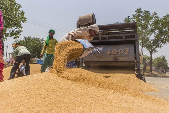 Backed by the bumper production, the states have geared up plan to purchase 40.7 million tonne of wheat this year for the central Pool, the food ministry said in a statement. 