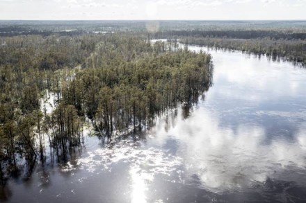 RBI, climate impact on economy, temperature, humidity, weather, indian economy, rainfall, greenhouse RBI, climate impact on economy, temperature, humidity, weather, indian economy, rainfall, greenhouse