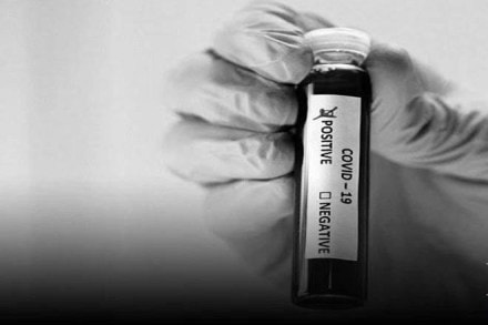 Air pollution, COVID-19, US, COVID 19 death rates, PM2.5, latest news on coronavirus pandemic, covid 19 pandemic Air pollution, COVID-19, US, COVID 19 death rates, PM2.5, latest news on coronavirus pandemic, covid 19 pandemic