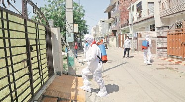 HC asks authorities to treat as representation plea on WHO guidelines for disinfectants