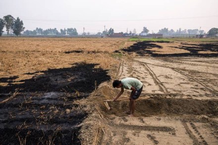 food economy, farmers, food production, power to farmers, self-resilient