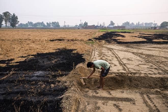 food economy, farmers, food production, power to farmers, self-resilient