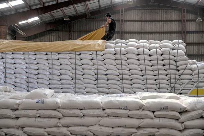 wheat, rice, foodgrains, FCI, food corporation of india wheat, rice, foodgrains, FCI, food corporation of india