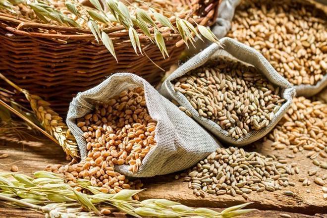 Govt sets foodgrain production target at record 298.3 million tonnes ...
