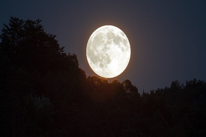 Moon’s size is expected to be 14 per cent bigger and 30 per cent brighter than what it usually is. Moon’s size is expected to be 14 per cent bigger and 30 per cent brighter than what it usually is.